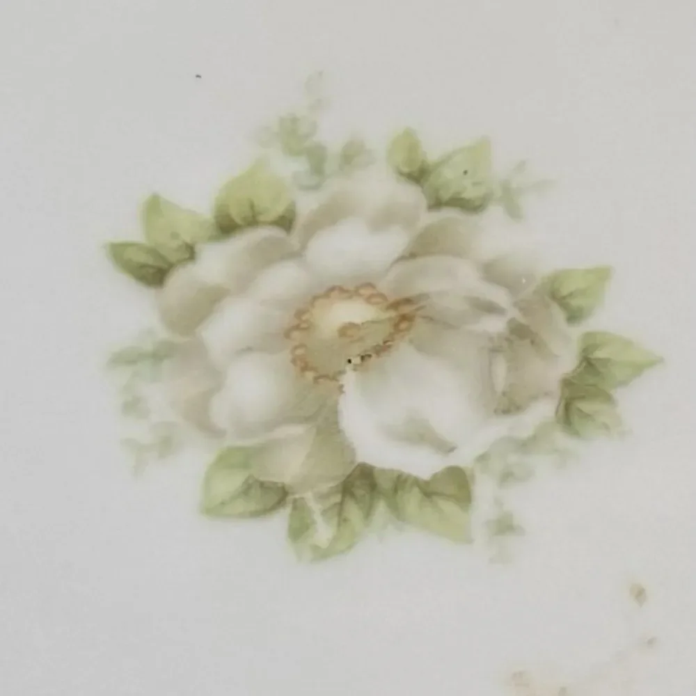 Vintage Moravia Porzellan Austria Porcelain Plate with‎ Floral Design